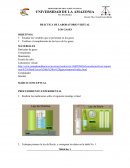 PRÁCTICA DE LABORATORIO VIRTUAL LOS GASES