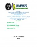 EXAMEN DE AUDITORIA TRIBUTARIA AL PROCESO DE VENTAS. DE LA EMPRESA "MINERALES DEL SUR S:R:L:"