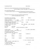 Caso Empresa Industrial Aquije S.A