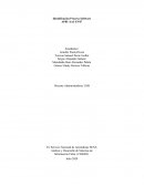 Identificación Proceso Software AP01-AA1-EV07