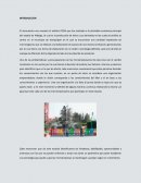 Análisis FODA que fue realizado a la actividad económica principal del estado de Hidalgo