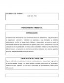 ORDENAMIENTO AMBIENTAL