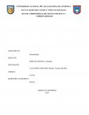 EL DESCUIDO DEL ESTADO AL CENTRO DE SALUD DE CURAHUASI