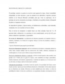 PROTOTIPO DEL SERVICIO