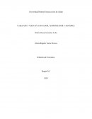 CABLEADO Y CIRCUITO CONTADOR, TEMPORIZADOR Y SENSORES