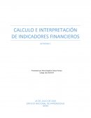 CALCULO E INTERPRETACIÓN DE INDICADORES FINANCIEROS