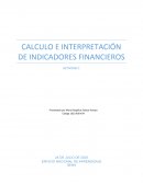 CALCULO E INTERPRETACIÓN DE INDICADORES FINANCIEROS