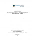 PROCESO DE OPTIMIZACIÓN PARA EL SEGUIMIENTO Y CONTROL DE PROYECTOS EN PYMES - COLOMBIA