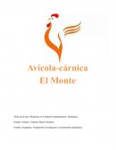 Fundamentos de Maquinas y Herramientas