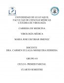 Lineas celulares, virologia