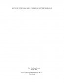 INFORME GERENCIAL ÁREA COMERCIAL DISTRIBUIDORA LAP