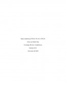 Redes inalámbricas WPAN, WLAN y WWAN