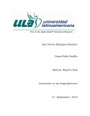 Innovacion en las organizaciones