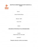 INTELIGENCIA ESTRATEGICA DE LAS ORGANIZACIONES