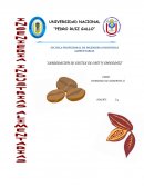 ELABORACION DE COCTEL DE CAFÉ Y CHOCOLATE