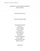 TEMARIO DESARROLLO DE LA TUTELA SEGÚN SENTENCIA 149/17