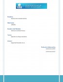 SISTEMA DE ACTIVIDAD HUMANA