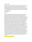 ESTRATEGIA agencia de viajes Ciudad Perdida