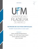 NUTRICION DE CULTIVOS HORTICOLAS: RESUMEN “Grandes desafíos en nutrición vegetal”