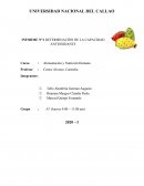 Determinación de la Capacidad Antioxidante por metodologia DPPH de la mashua morada