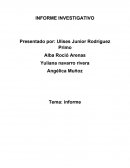 Informe investigativo