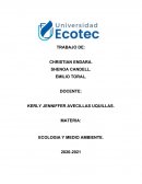 ECOLOGIA Y MEDIO AMBIENTE