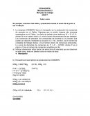 Mercado de Trabajo empresa CONSERV