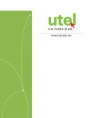 Ensayo sobre Competencias gerenciales