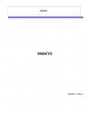 Ensayo sobre la Gestión de Riesgos