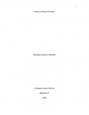 Princesa Diana De Gales