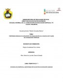 Habilidades básicas en la adquisición de lengua escrita en un alumno de 2º grado con discapacidad intelectual