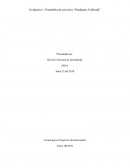 Evidencia 1: Portafolio de servicios “Productos Colfrutik”