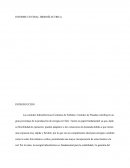 Informe técnico funcionamiento central hidroeléctrica