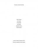 Auxiliar contable y financiero 3470 Técnicas contables del sector público