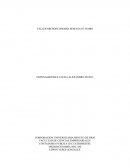 TALLER MICROECONOMIA