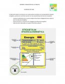 INFORME Y REQUISITOS DE LA ETIQUETA