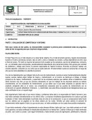IDENTIFICACIÓN DEL INSTRUMENTO DE EVALUACIÓN. DESCRIBIR PERFILES DE CARGOS