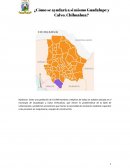 ¿Cómo ayudar a Guadalupe y Calvo Chihuahua?