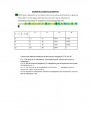 EXAMEN DE ESTADÍSTICA DESCRIPTIVA