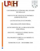 ANTECEDENTES DE LA ORGANIZACIÓN INDUSTRIAL