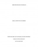 DERECHOS HUMANOS UNIVERSALES