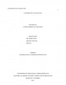 CASO PRÁCTICO: MACON INC.