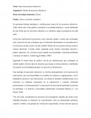 Tipos de proyectos educativos
