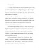 ENSAYO DEL ESTRUCTURALISMO