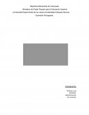 El sistema organizacional