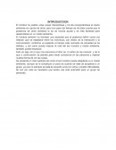 El señor de las moscas