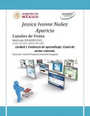 EVIDENCIA DE APRENDIZAJE CANAL DE VENTA: INTERNET