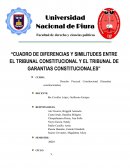 “CUADRO DE DIFERENCIAS Y SIMILITUDES ENTRE EL TRIBUNAL CONSTITUCIONAL Y EL TRIBUNAL DE GARANTIAS CONSTITUCIONALES”