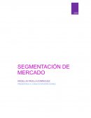 Segmentacion del mercado Lácteos los ángeles