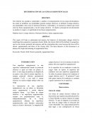 Determinaciòn de las lineas equipotenciales